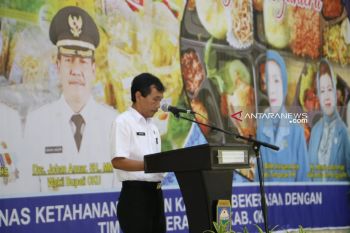 Dinas Ketahanan Pangan OKU  gelar festival pangan lokal