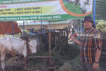 Disnakan  periksa kesehatan hewan kurban jelang Idul Adha