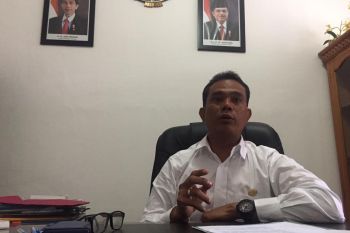 12 pasien DBD dirawat RSUD Mentawai selama Juli 2019