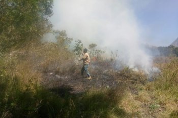 Kebakaran padang rumput Gunung Rinjani Lombok terjadi kembali