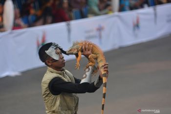 Pets Carnival