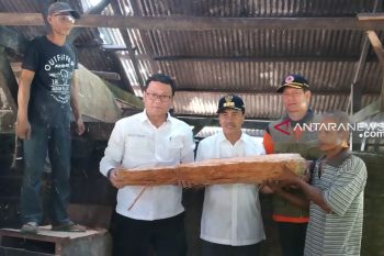 Keberhasilan Sungai Tohor atasi karhutla patut dicontoh