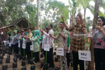 Masyarakat Gunung Kidul melakukan gerakan tanam pada seribu polibag