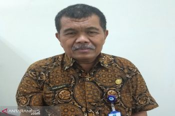 Dinas: hewan kurban yang mengamuk harus diperlakukan khusus