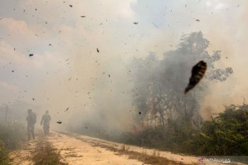 BMKG: Ada 138 titik panas kepung Riau
