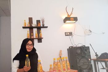 Emak-emak di Parigi Moutong kembangkan bisnis minyak kelapa dalam