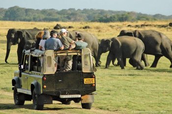 Pemerintah Sri Lanka berikan fasilitas bebas visa bagi wisatawan Indonesia
