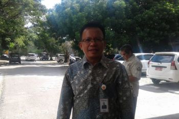 Jelang Idul Adha, Bulog Sultra jamin pasokan dan stabilitas harga beras