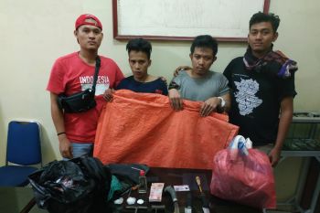 Pencuri ternak beraksi di tiga kabupaten, menyembelih di lokasi dan meninggalkan jeroannya