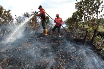 25 titik api di Siak, kebakaran terluas di lahan perusahaan