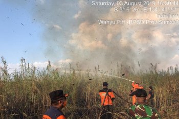 Sejak hari Jumat, 49 hektare lahan di Ogan Ilir terbakar