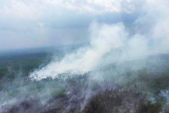 Camat di Kotim diingatkan jangan abai tanggulangi kebakaran lahan