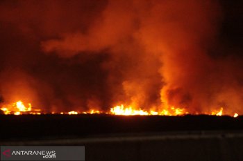 Kebakaran lahan meluas, petugas tol Palindra berjaga hingga malam