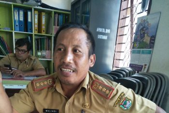 Ternak sapi di Mamuju aman dari Antrax