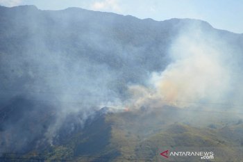 Kebakaran hutan di Aceh Besar