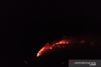 KLHK turunkan pengawas dan penyidik untuk menindak tegas pelaku pembakar lahan