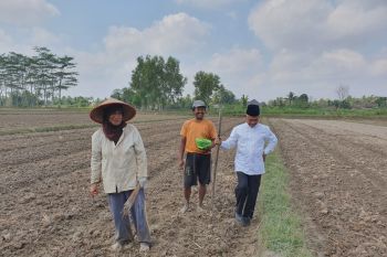 Bupati OKU Timur ajak  masyarakat tanam palawija