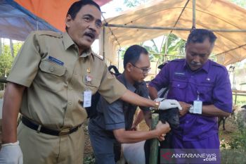 Jateng intensifkan pemeriksaan hewan kurban jelang Idul Adha