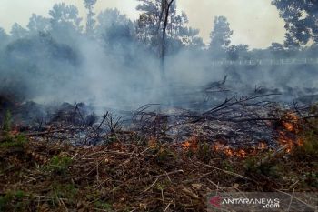 Api Karhutla ancam Kota Pekanbaru