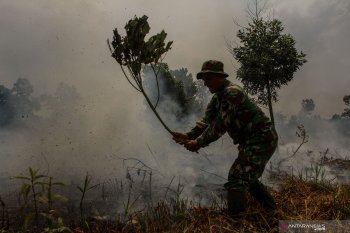 Riau akan tetapkan status siaga darurat kebakaran lahan