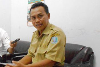 16 petugas periksa kesehatan hewan kurban di Biak Numfor