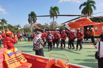 Walhi Sumsel pantau  tiga kabupaten rawan Karhutla