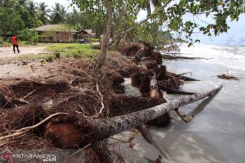 Ancaman abrasi di Matobe butuh tindakan cepat, 15 rumah bisa kena