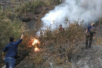 Jalur pendakian Gunung Guntur tetap dibuka untuk umum walau kebakaran hutan