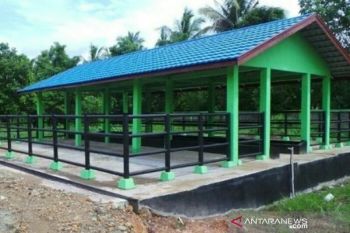 Distan akan gandeng Satpol PP tegakan Perda pemanfaatan RPH