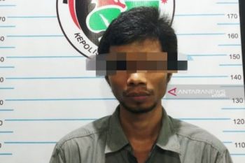 Kandang sapi jadi tempat transaksi narkoba