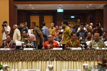 Dishut:  Sulteng akui ada kebakaran lahan penggembalaan