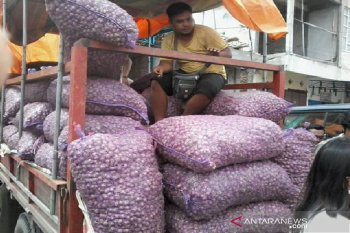 Warga Kota Palu serbu pedagang bawang