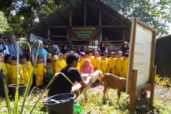 Dompet Dhuafa gandeng TK Khalifah Makassar mengenal dini hewan kurban