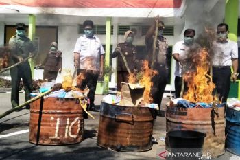 Kejari Pesisir Selatan musnahkan 30,7 kilogram ganja