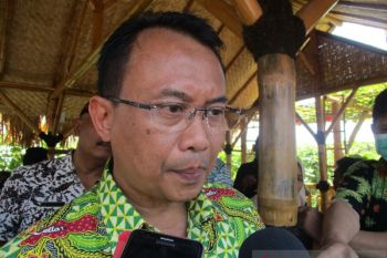 Kekeringan tak pengaruhi produksi padi di Jatim