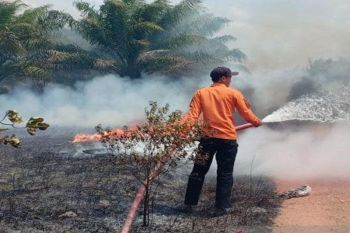 Delapan hektare hutan di Kabupaten Bangka Tengah terbakar