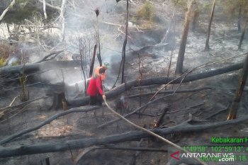 Kemenkes imbau masyarakat terdampak asap karhutla hindari keluar ruangan
