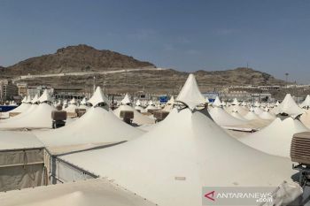 Petugas haji diberangkatkan bertahap ke Arafah mulai Jumat dinihari