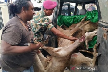 Lanal Mataram mengungkap kasus perburuan rusa di Sape