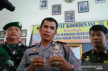 Enam kecamatan di Agam Timur rawan kebakaran lahan
