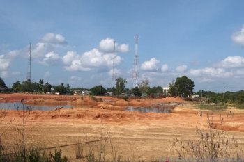 KLHK belum tuntas selidiki kerusakan hutan lindung Bintan