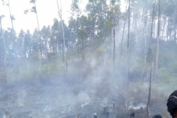 BMKG: 16 titik panas muncul ditujuh daerah wilayah Aceh