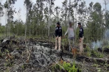 Polisi amankan seorang terduga pembakar lahan di Barsel