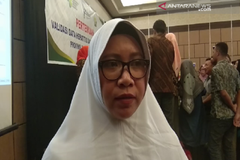 Di Sultra, 343 ibu hamil terkena virus Hepatitis B