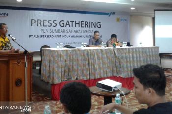 35 persen gangguan jaringan PLN akibat pohon dan tali layangan