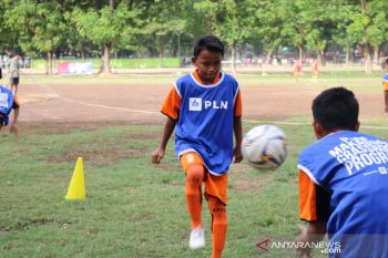 PLN Dukung PSM jaring bibit unggul lokal