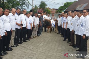Bank Nagari bagikan lima sapi kurban