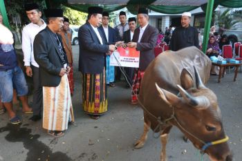 Pemkot Makassar  sembelih sembilan ekor hewan kurban