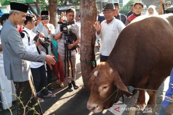 Ganjar berkurban sapi limosin, ajak kurangi sampah plastik