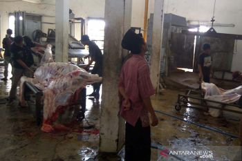 Cacing hati ditemukan pada hewan kurban di RPH Purwokerto